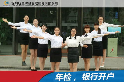 一般纳税人申请与担保业务融合服务 石岩企业的合规路径